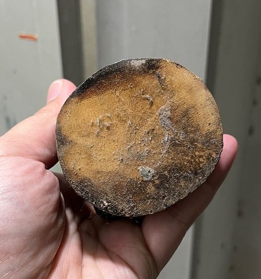 พระพิฆเนศไม้แกะ รูปที่ 5