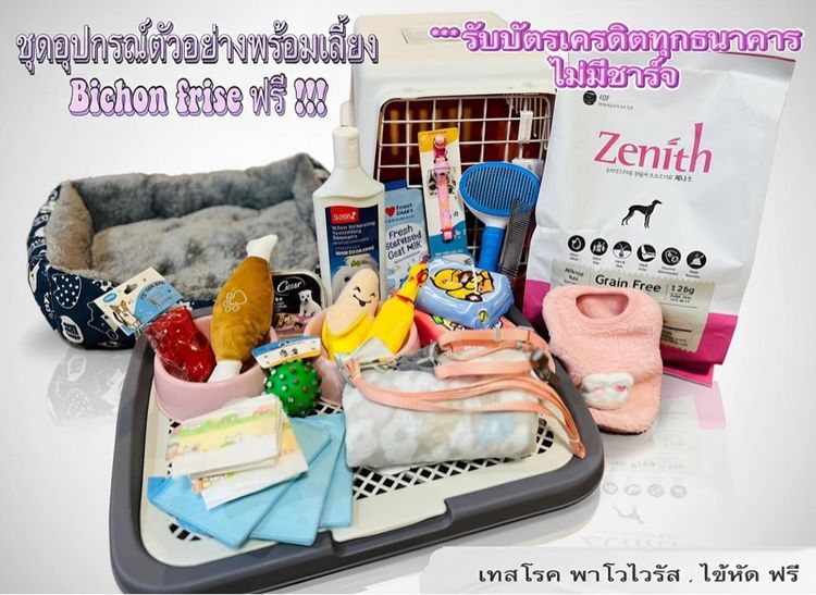 มินิบิชองฟริเซ่ ญ ช  พร้อมย้ายบ้าน  รูปที่ 4