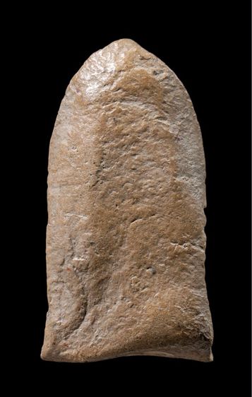 พระรอดพิมพ์ต้อ รูปที่ 2