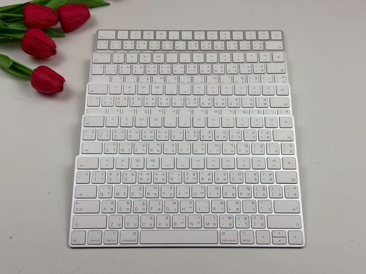 เม้าส์ และคีย์บอร์ด Apple Magic Keyboard2 (Lightning)