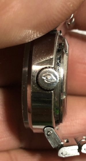 .Pomar BR ไขลาน รูปที่ 7