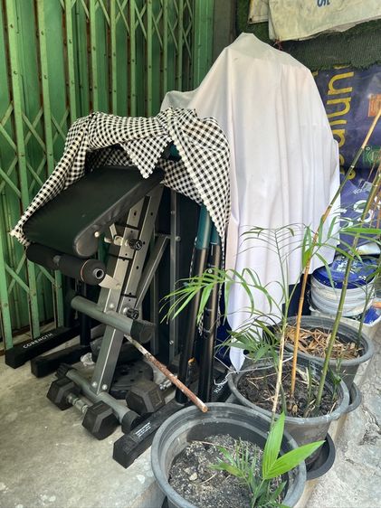 เก้าอี้ออกกำลังกาย รูปที่ 8