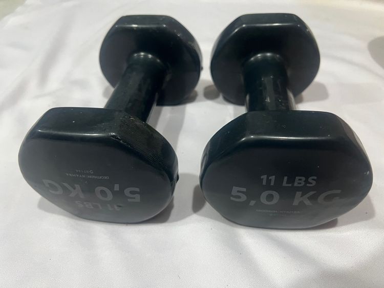 ดัมเบล รูปที่ 3