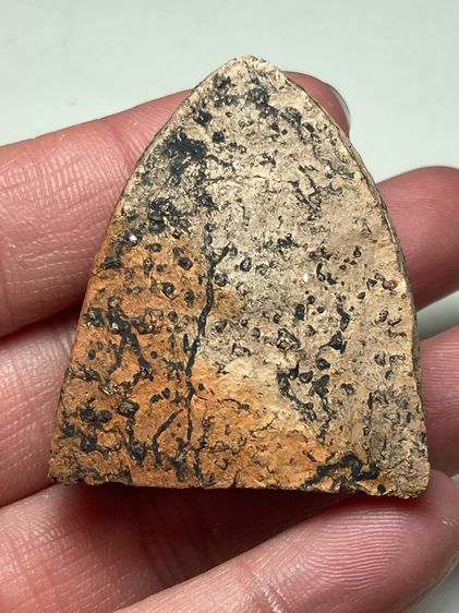 หลวงพ่อโตเนื้อดิน รูปที่ 2