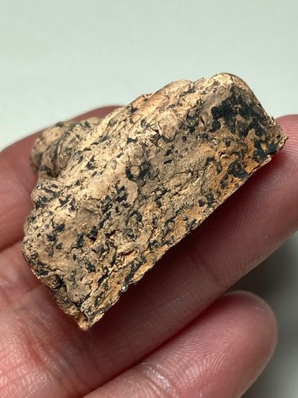 หลวงพ่อโตเนื้อดิน รูปที่ 5