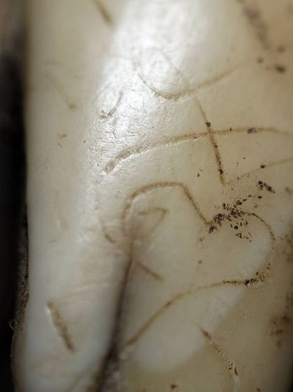 ❌ปิด❌หลวงพ่อนกวัดสังกะสีจารเต็มสภาพนอนหิ้งครับ รูปที่ 13