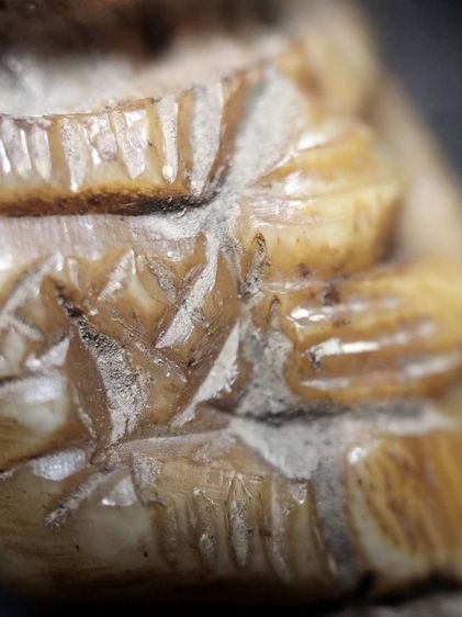 สวยคลาสสิคครับ รูปที่ 17