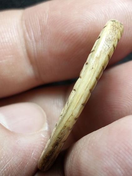 ชนาดกำลังดีน่าห้อยครับ รูปที่ 7