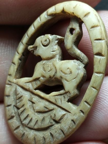 ชนาดกำลังดีน่าห้อยครับ รูปที่ 6