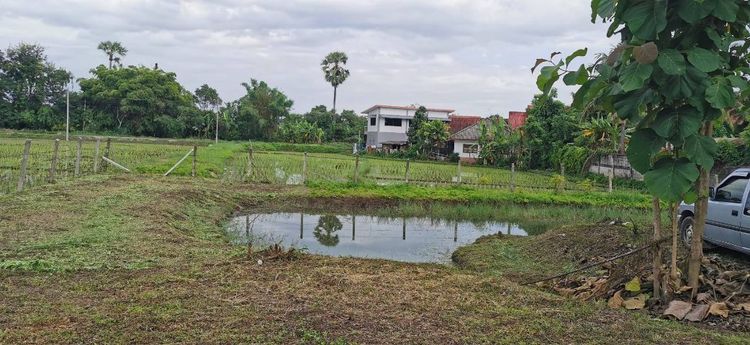 ใช่ ขายที่ดิน 3 ไร่ 26 ตร.วา (หางดง เชียงใหม่) รูปที่ 4