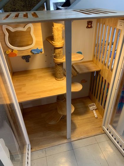 กรงแมว รูปที่ 2