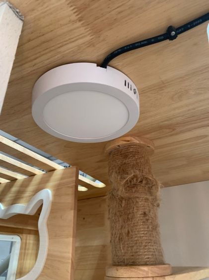 กรงแมว รูปที่ 6