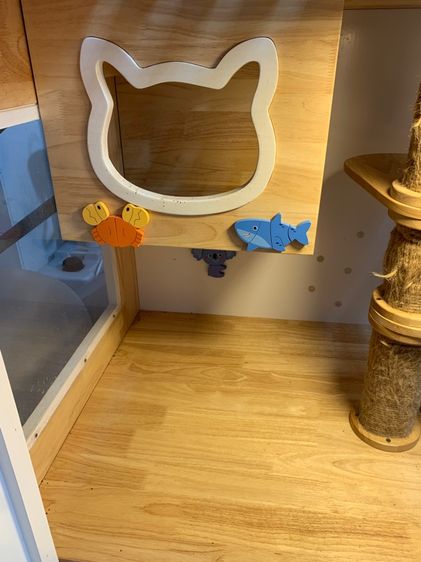 กรงแมว รูปที่ 3