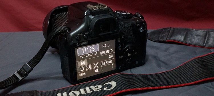 Canon EOS Kiss X2 รูปที่ 9