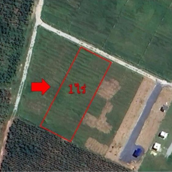 ใช่ 🌳ขายที่ดินวิวเขา ต.หนองประดู่ อ.เลาขวัญ จ.กาญจนบุรี สนใจติดต่อ 0920029791(คุณเจมส์) รูปที่ 2