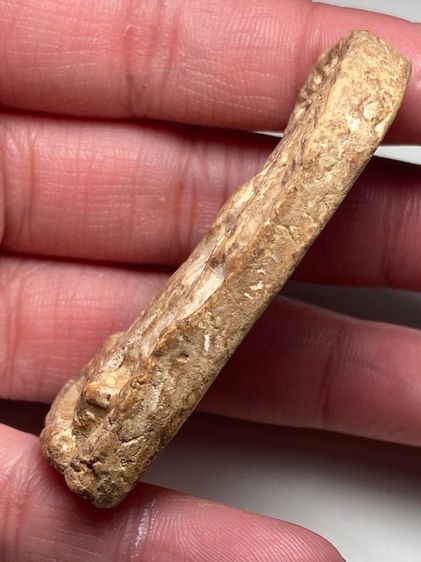 พระปางสมาธิเนื้อผง รูปที่ 4