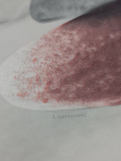 จานแก้วสไตล์วินเทจ แบรนด์ Luminarc จากประเทศฝรั่งเศส รูปที่ 3