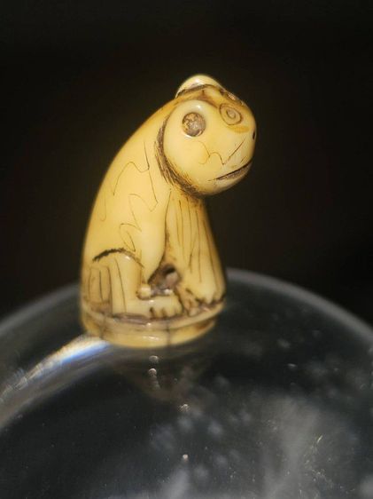 เสือ หลวงพ่อปานคลองด่าน (แท้) รูปที่ 4