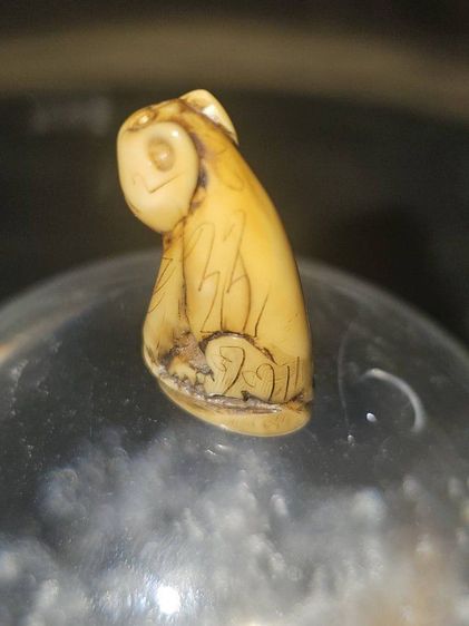 เสือ หลวงพ่อปานคลองด่าน (แท้) รูปที่ 3