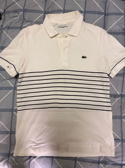 เสื้อ polo lacoste 