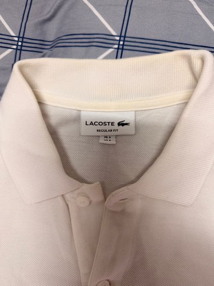 เสื้อ polo lacoste  รูปที่ 2