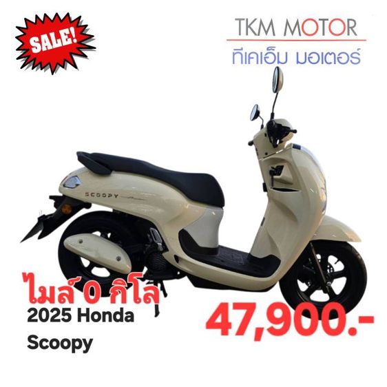 ขายด่วน honda scoopy ปี 2025 ไมล์ 0 กิโล
