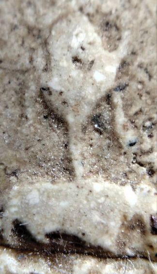 พระสมเด็จวัดระฆัง บางขุนพรหม เกศไชโย หลวงปู่ภู หลวงปู่นาค