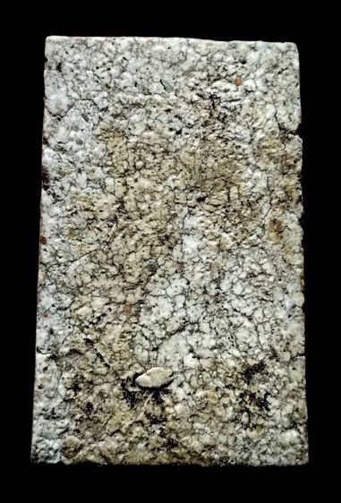 พระสมเด็จบางขุนพรหม รูปที่ 8