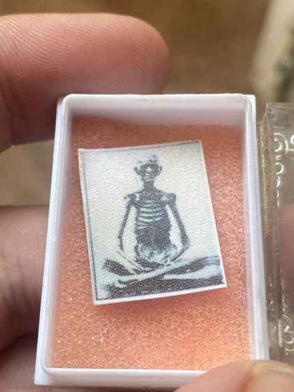 รูปถ่าย หลวงปู่เดินหน