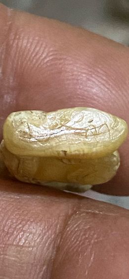 สิงห์คางเครา ลป.ยิ้ม วัดหนองบัว รูปที่ 5