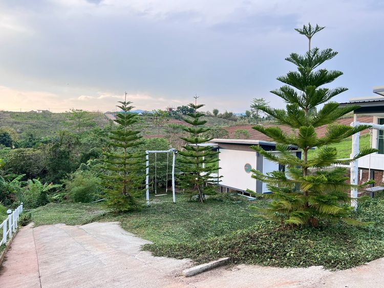 อื่นๆ ตกแต่งครบ 2021 ขายบ้านโฉนดครุฑแดง 2 หลัง วิวภูเขา อ.เขาค้อ จ.เพชรบูรณ์ รูปที่ 3