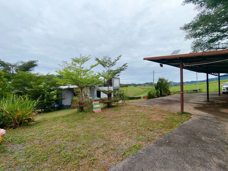 อื่นๆ ตกแต่งครบ 2020 ขายบ้านพร้อมที่ดิน อ.เขาค้อ จ.เพชรบูรณ์ (โฉนดครุฑแดง) รูปที่ 4