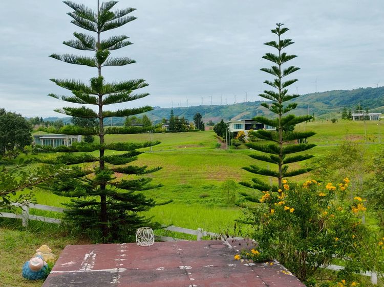 อื่นๆ ตกแต่งครบ 2020 ขายบ้านพร้อมที่ดิน อ.เขาค้อ จ.เพชรบูรณ์ (โฉนดครุฑแดง) รูปที่ 2