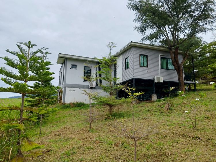 อื่นๆ ตกแต่งครบ 2020 ขายบ้านพร้อมที่ดิน อ.เขาค้อ จ.เพชรบูรณ์ (โฉนดครุฑแดง) รูปที่ 3