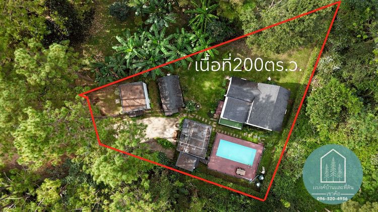 อื่นๆ ตกแต่งครบ 2020 ขายพูลวิลล่าเขาค้อ บ้านพัก 3 หลัง พร้อมสระว่ายน้ำ รูปที่ 2