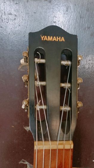 กีต้าร์คลาสสิก Yamaha Dynamic Guitar No.S50 รูปที่ 2