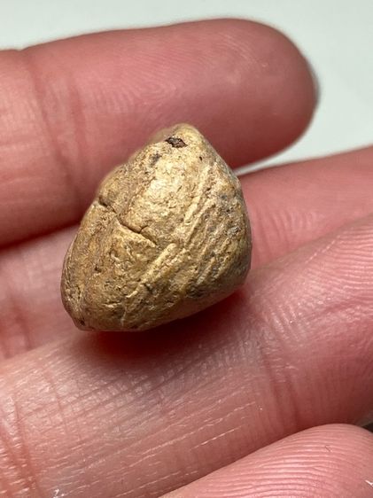 พระปางสมาธิเนื้อผง รูปที่ 5