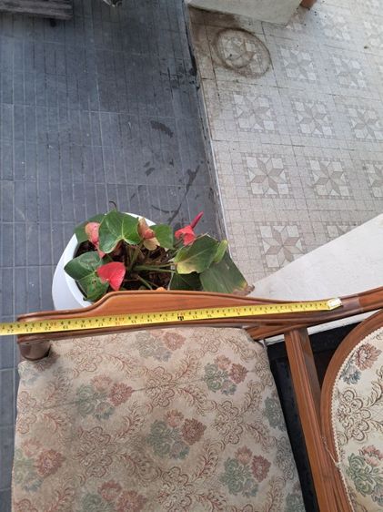 เก้าอี้ยาวไม้สักแท้ รูปที่ 11