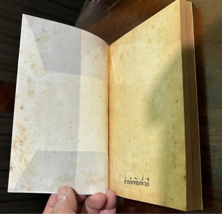 แดนอรัญ แสงทอง ผู้ถูกกระทำ รูปที่ 5