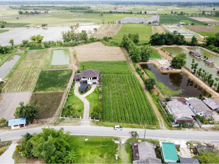 ใช่ ขายที่ดิน 5ไร่ 48 ตรว. รูปที่ 4