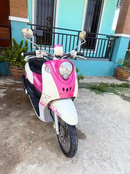 ขายฟีโน่เกย์แยก รูปที่ 9