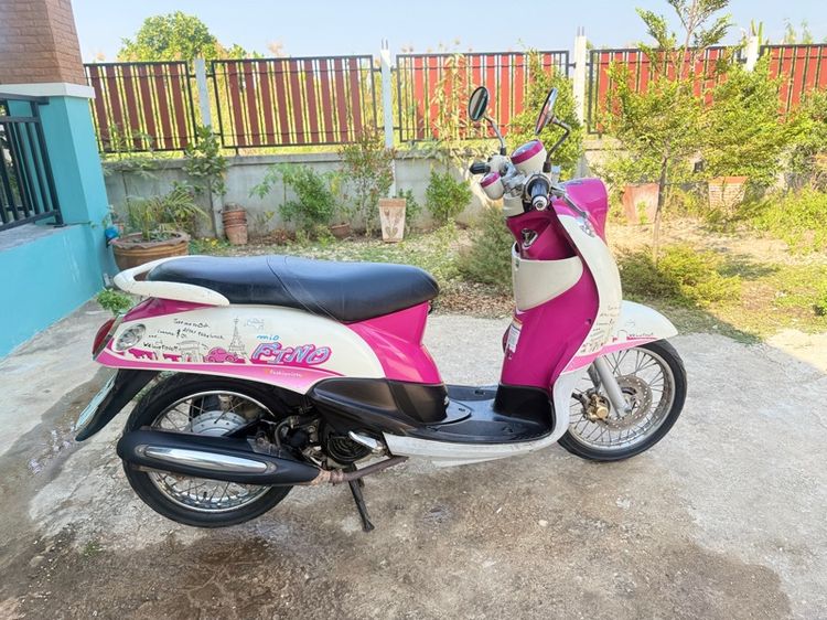 ขายฟีโน่เกย์แยก รูปที่ 10