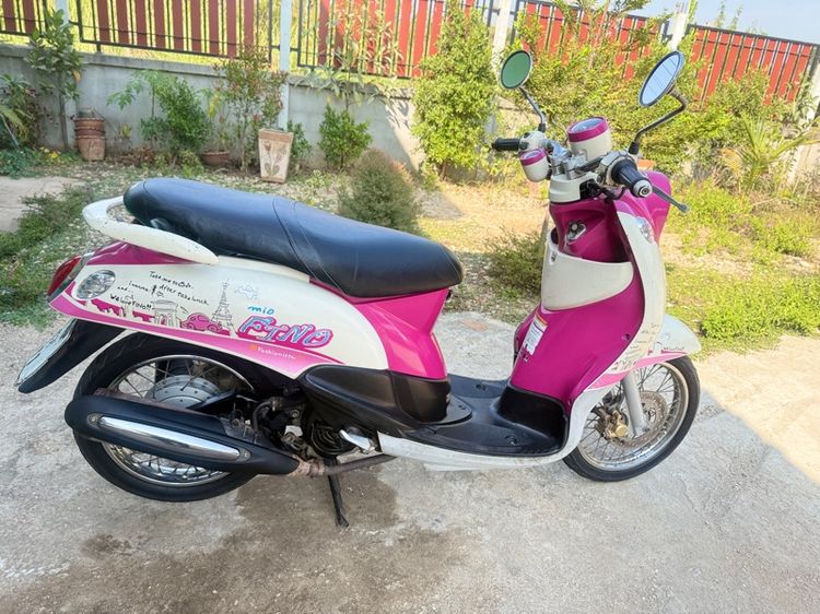 ขายฟีโน่เกย์แยก รูปที่ 7