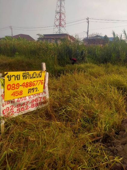 ใช่ ขายที่ดินเปล่าติดถนนมิตรไมตรีหนองจอก รูปที่ 2