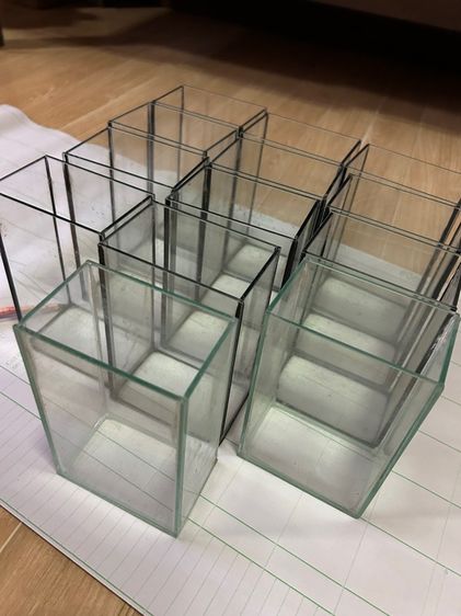 โหลปลากัด