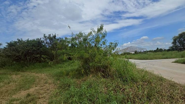 ขายที่ดิน บ้านบึง ชลบุรี 5 ไร่ 1 งาน 46 ตร.ว. ทำเลดี เหมาะลงทุน รูปที่ 2