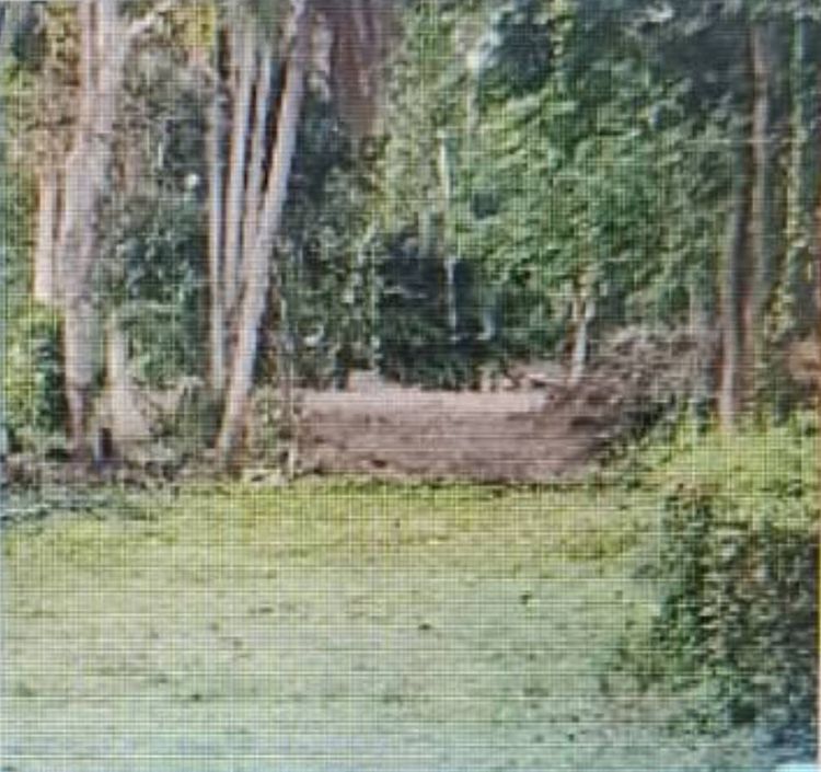 ขายที่ดินผืนงาม ทำเลทอง 360.6 ตารางวา ใกล้ถนนใหญ่ ซอยชิตสัมพันธ์ ตำบลหน้าเมือง อ.เกาะสมุย จ.สุราษฎร์ธานี