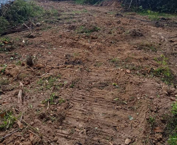 ขายที่ดินผืนงาม 360.6 ตารางวา ใกล้ถนนใหญ่ ตำบลหน้าเมือง อ.เกาะสมุย จ.สุราษฎร์ธานี รูปที่ 4