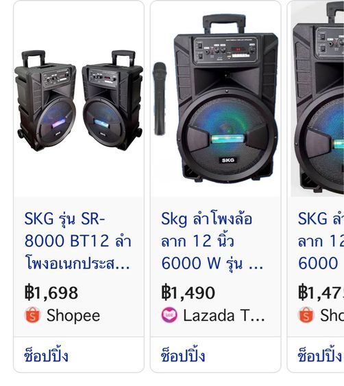 ลำโพง  รูปที่ 10