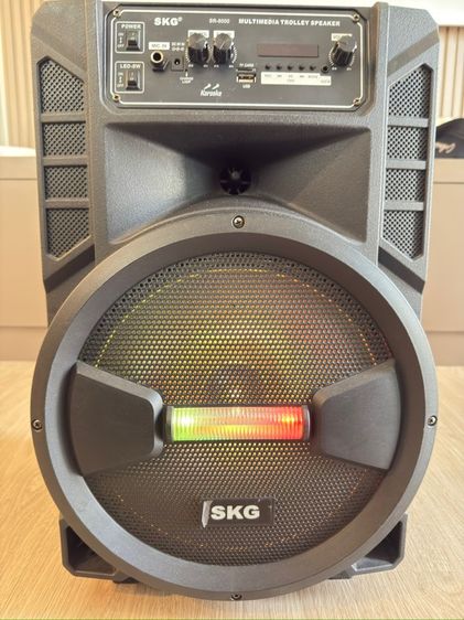 ลำโพง  รูปที่ 6